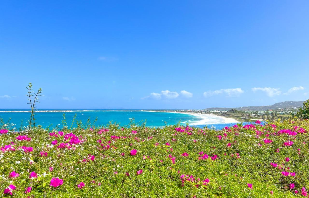 Front Line Unit 520 Ft2 - 48 M2, On Second Floor, Stunning Ocean View Διαμέρισμα Cul de Sac Εξωτερικό φωτογραφία